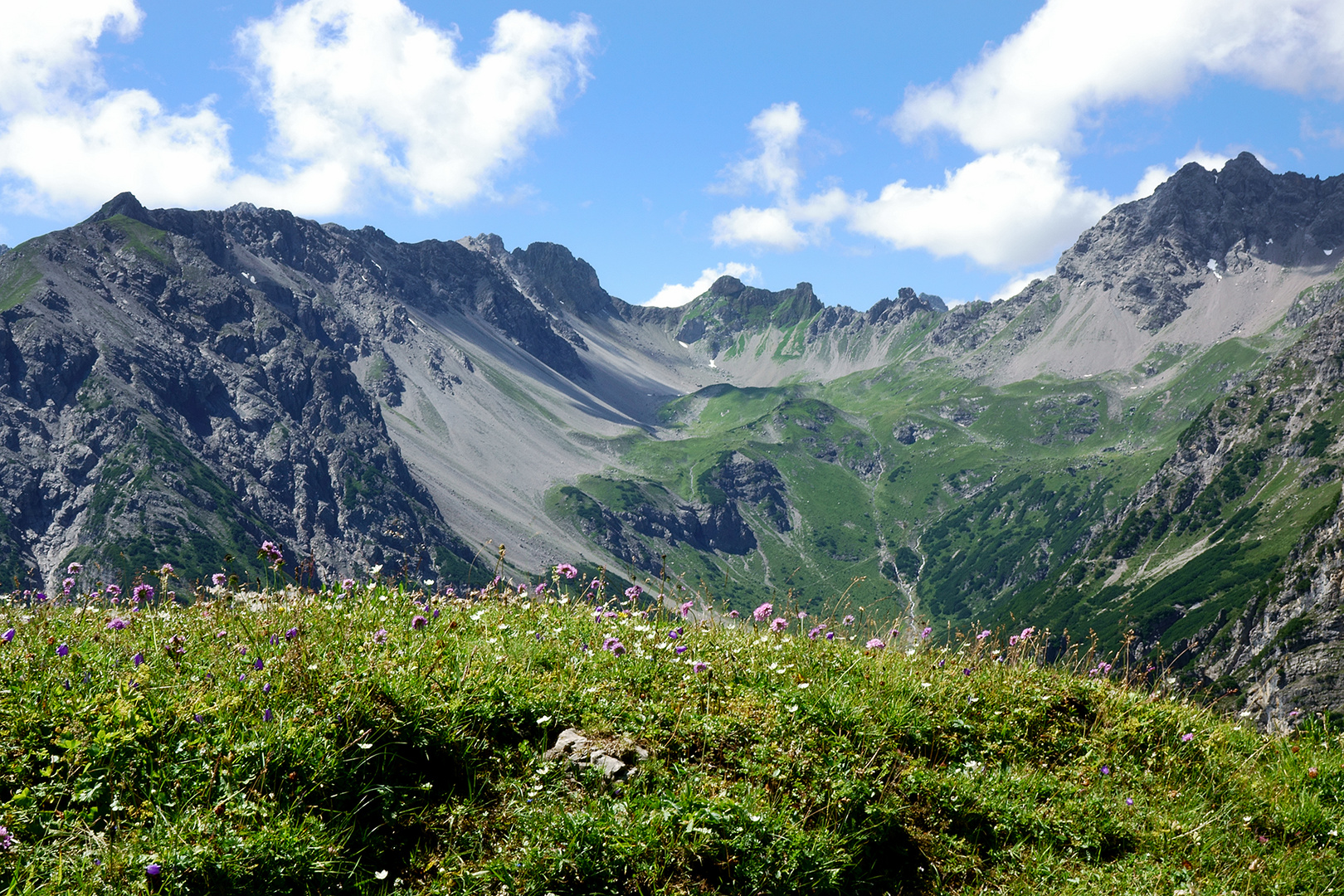 die Blumenvielfalt ist am Berg wundervoll