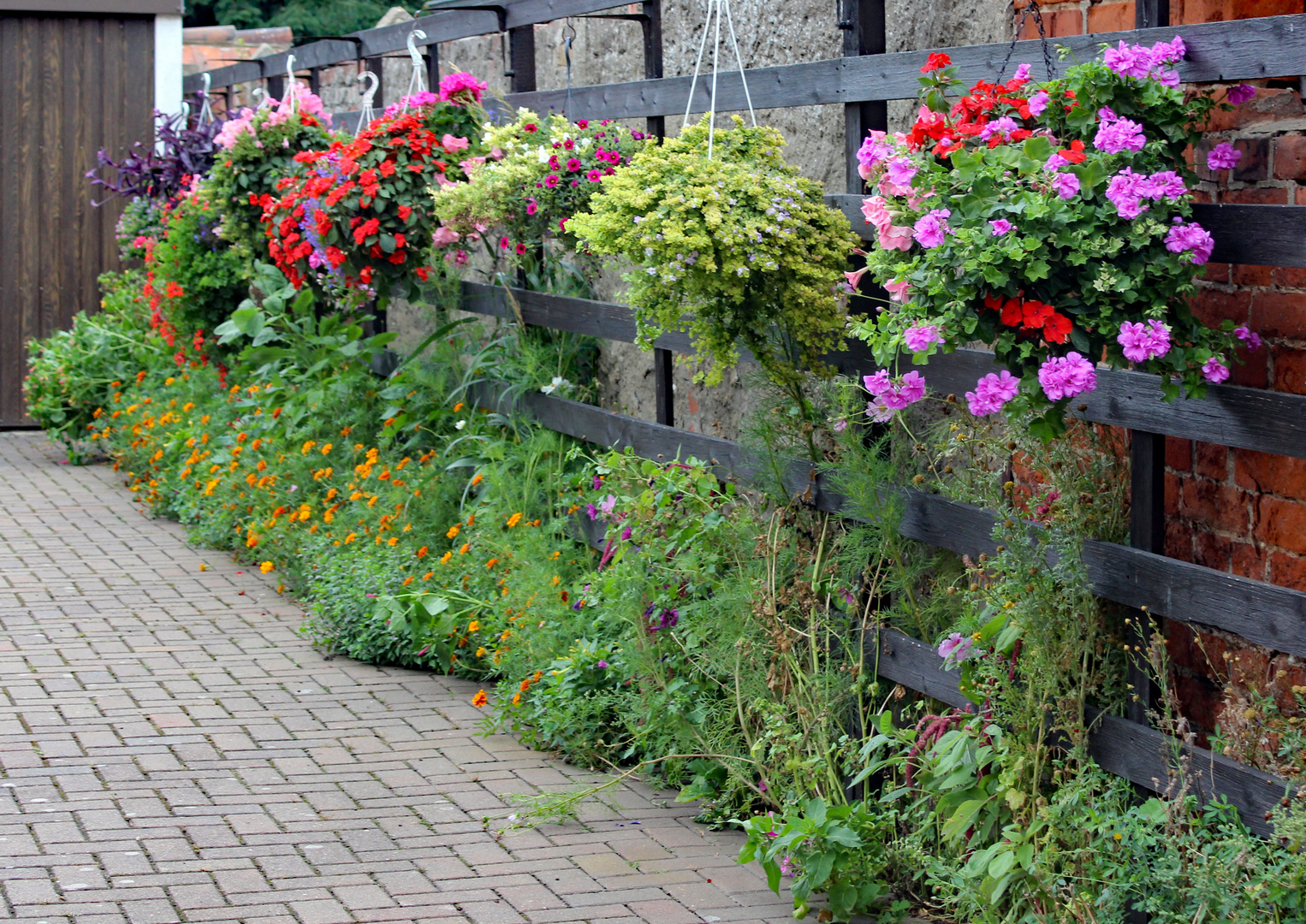 Die Blumenwand Foto & Bild natur, pflanzen, pilze & flechten