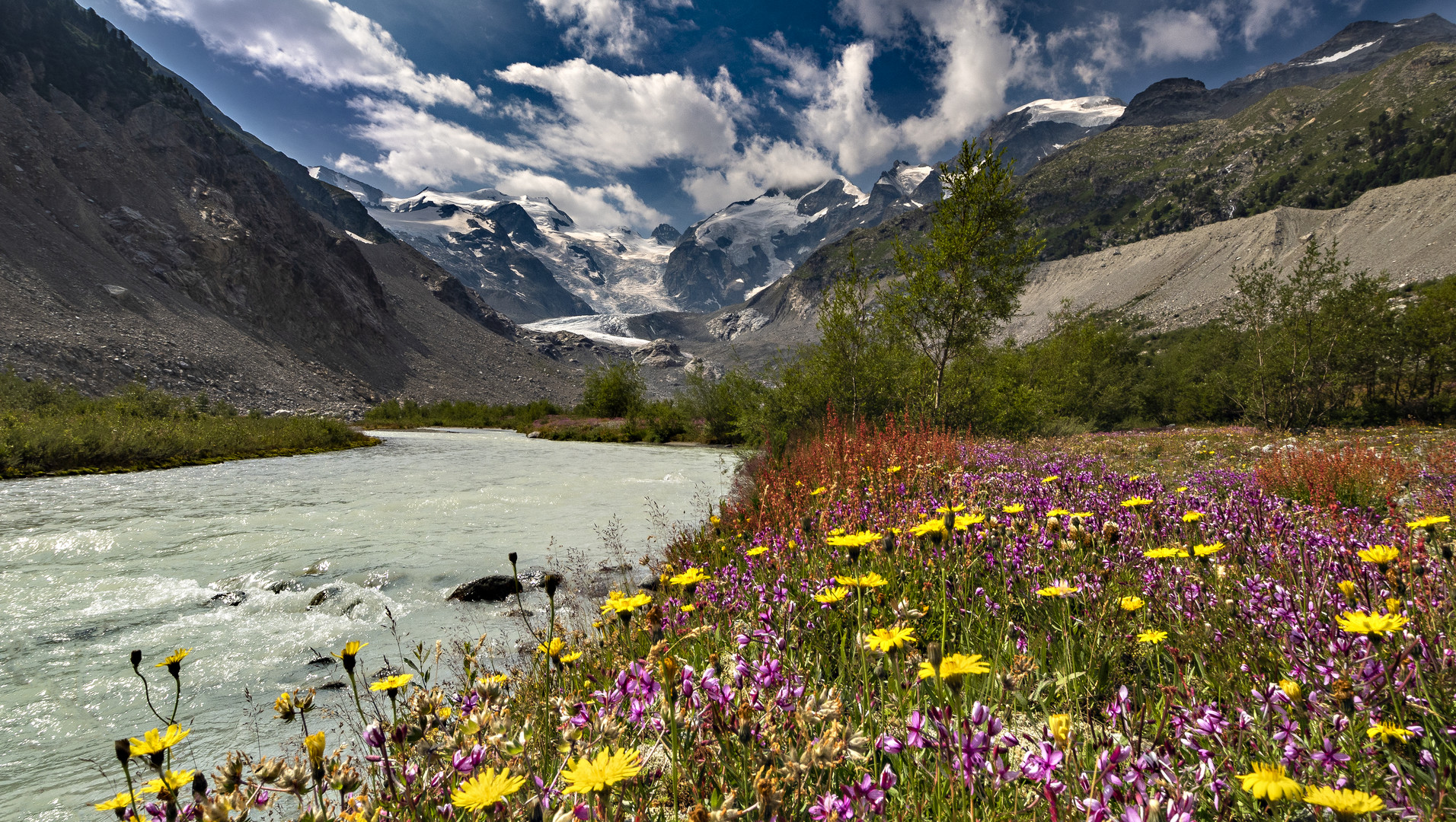 Die Blumenwiese am Gletschergrund.