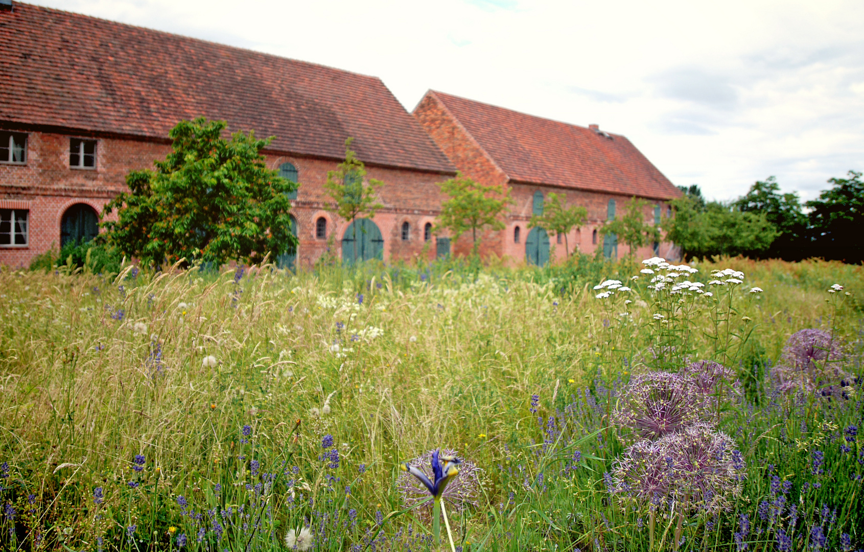 Die Blumenwiese vor der Gutsherrenscheune auf Schloss Klessen im Havelland