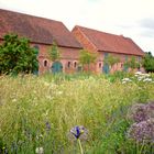 Die Blumenwiese vor der Gutsherrenscheune auf Schloss Klessen im Havelland