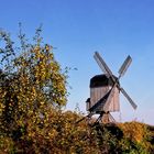 Die Bockwindmühle  