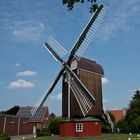 Die Bockwindmühle in Dornum (1)