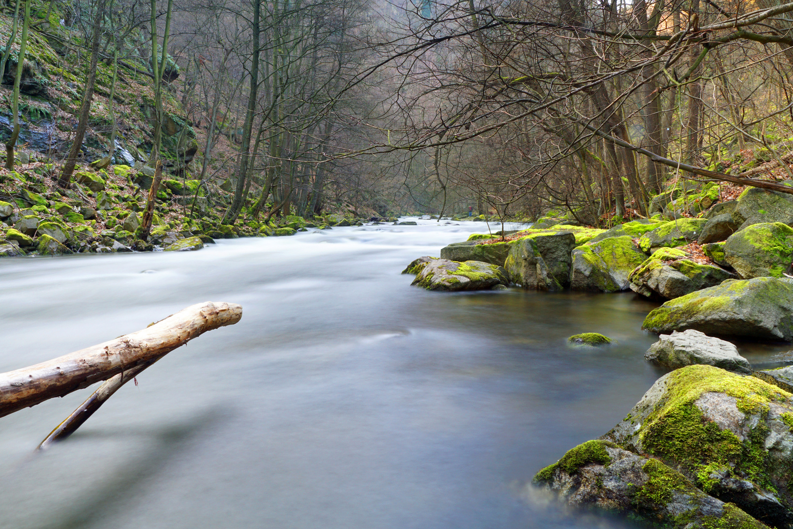 Die Bode