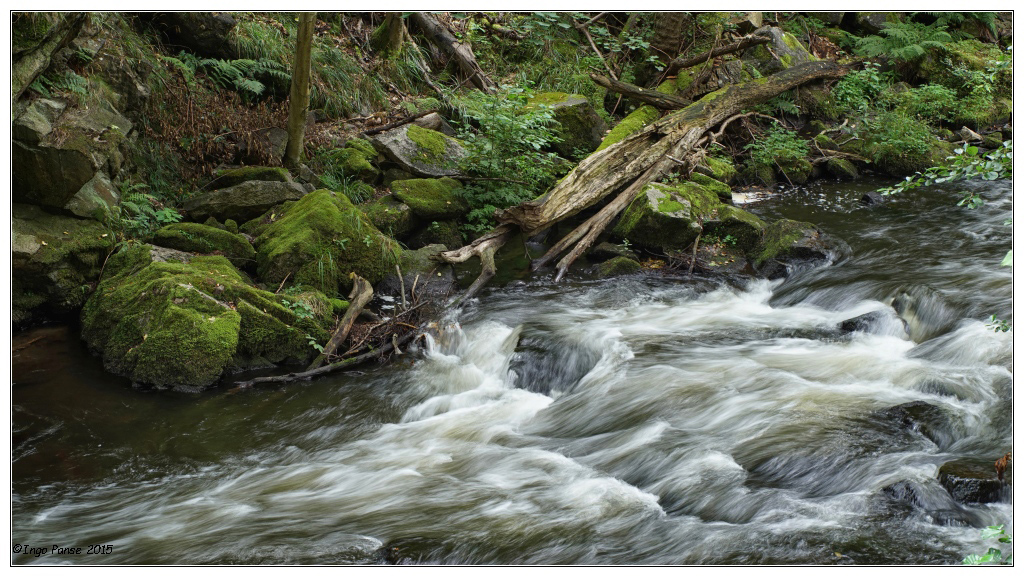 Die Bode Foto & Bild deutschland, europe, der harz Bilder auf