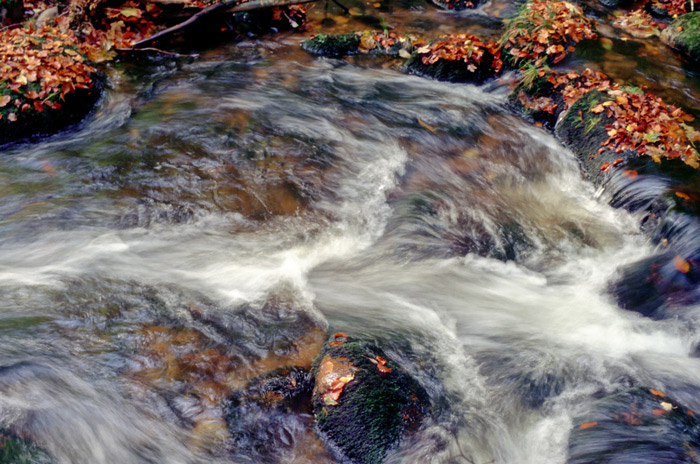 Die Bode bei Braunlage