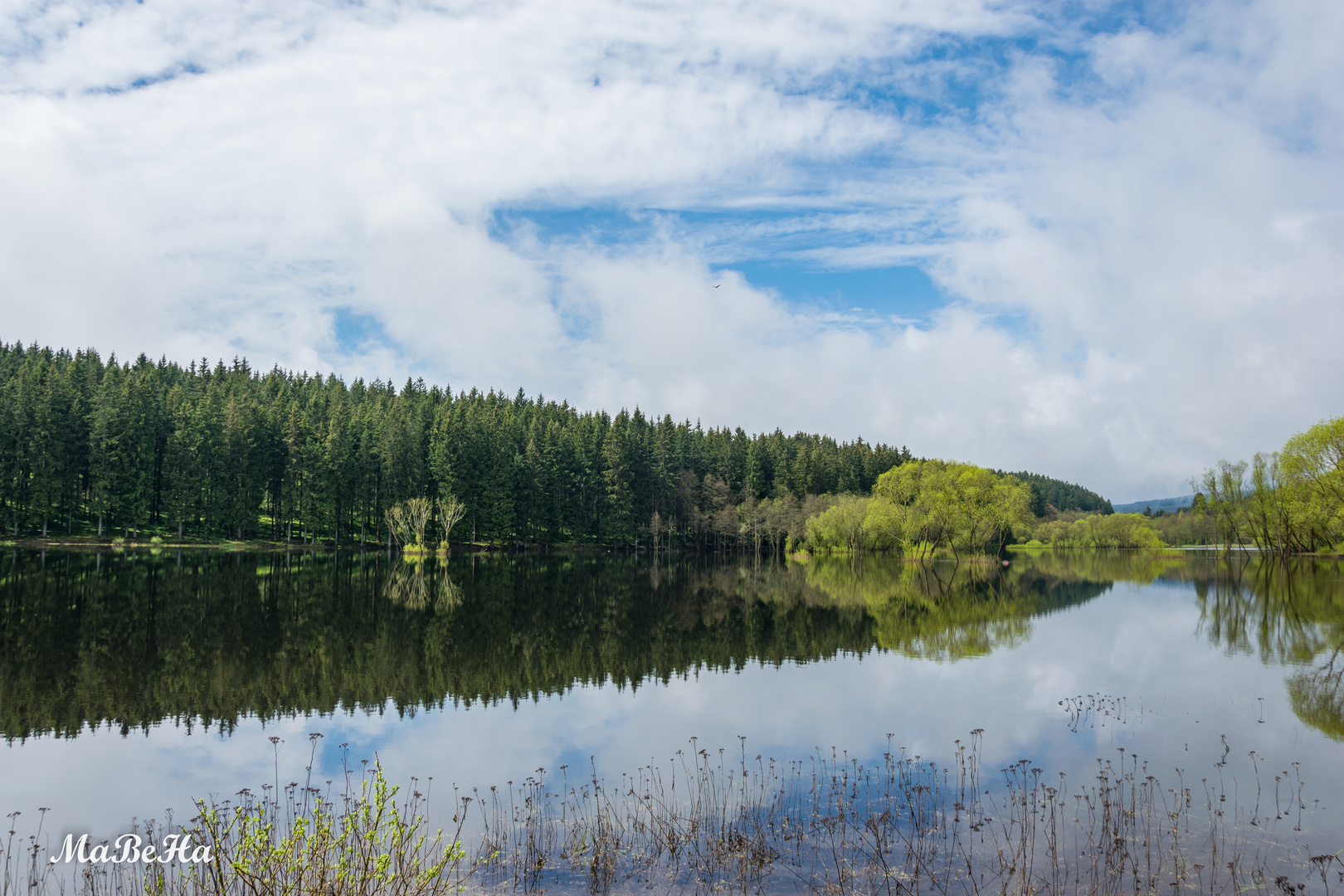 Die Bode bei Mandelholz im Frühjahr