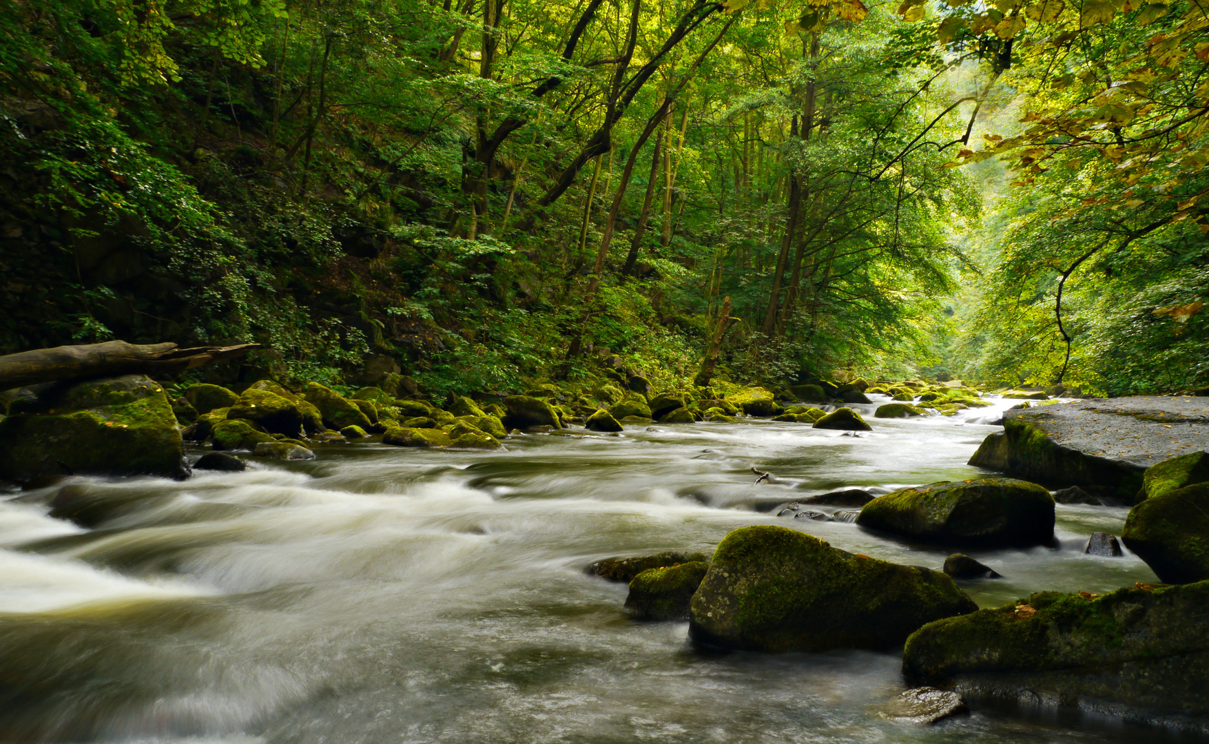 die Bode bei Thale