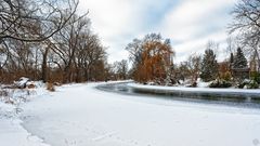 Die Bode gefriert ... (3)