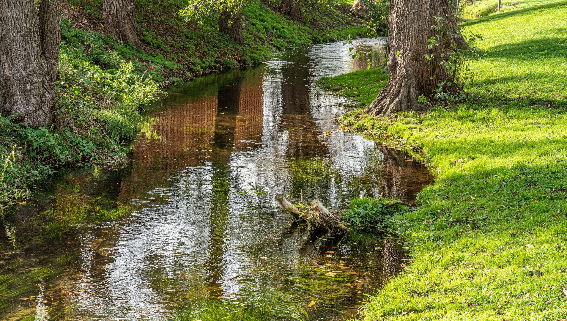 die Bode I  - Vorland Harz