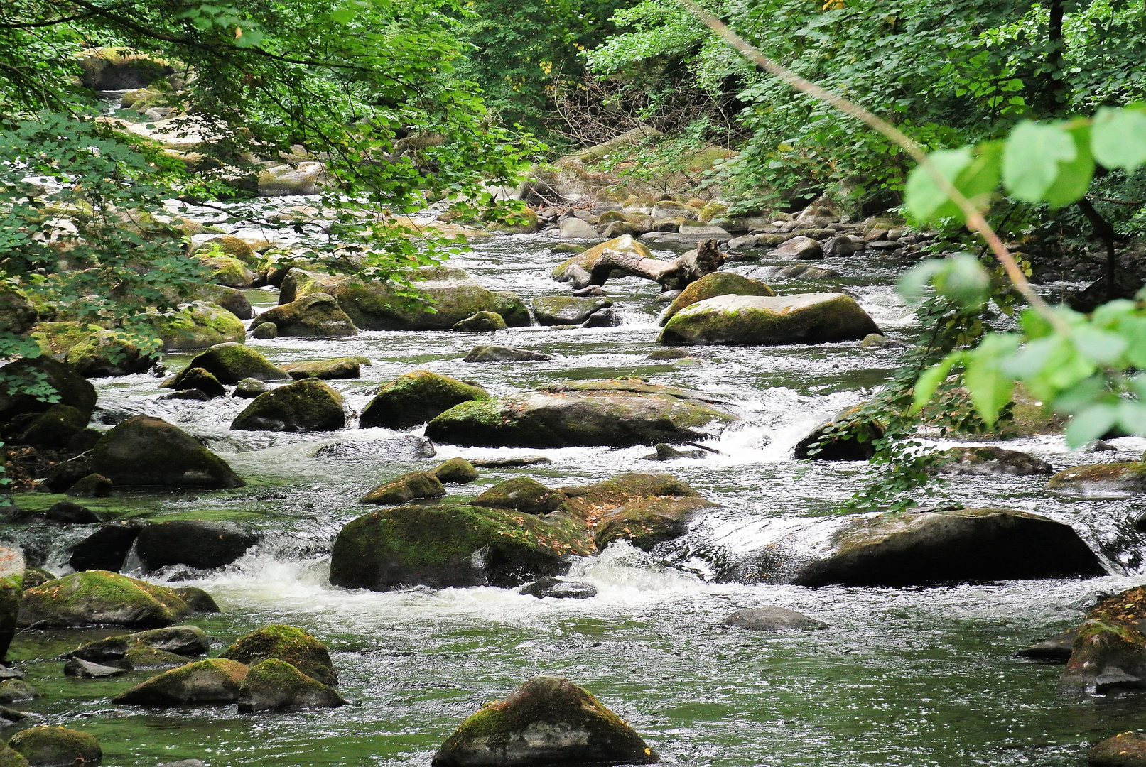 Die Bode im Harz