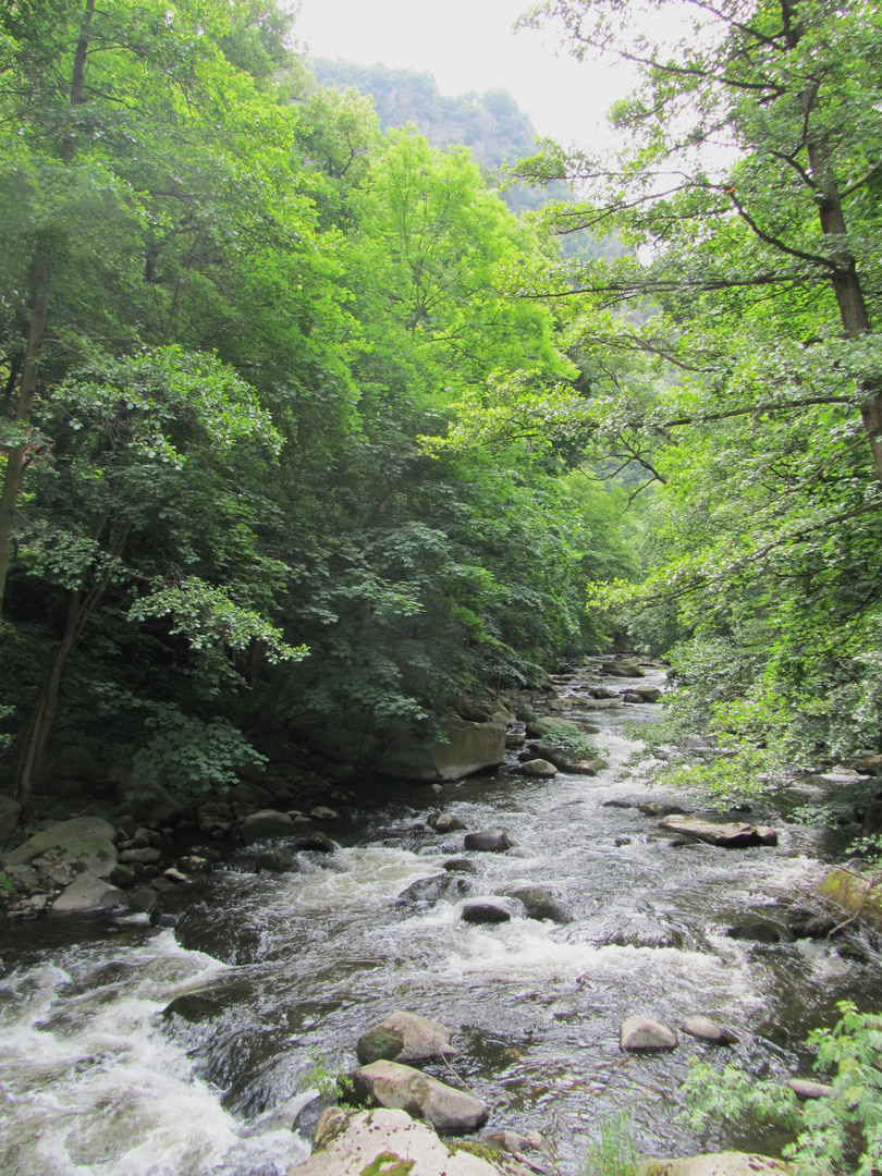 Die Bode im Harz