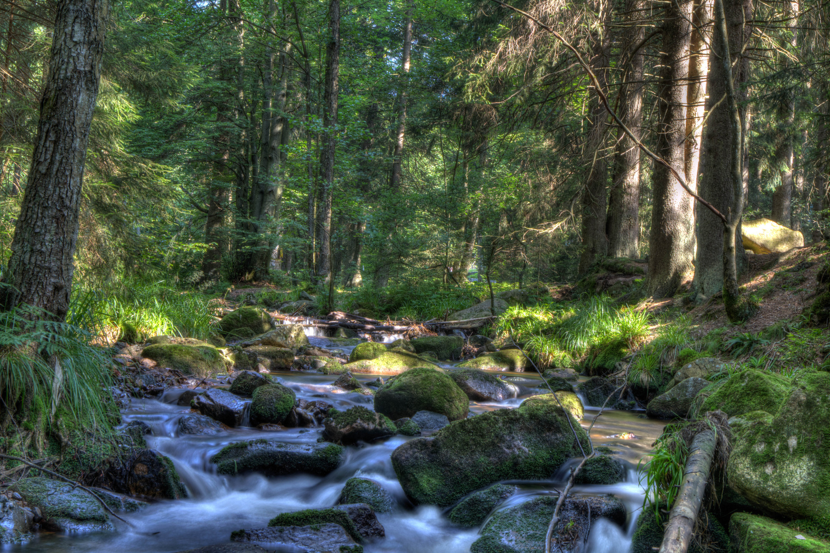 die Bode im Harz