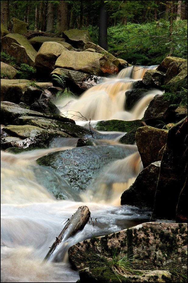 Die Bode im Harz II