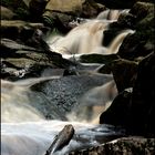 Die Bode im Harz III