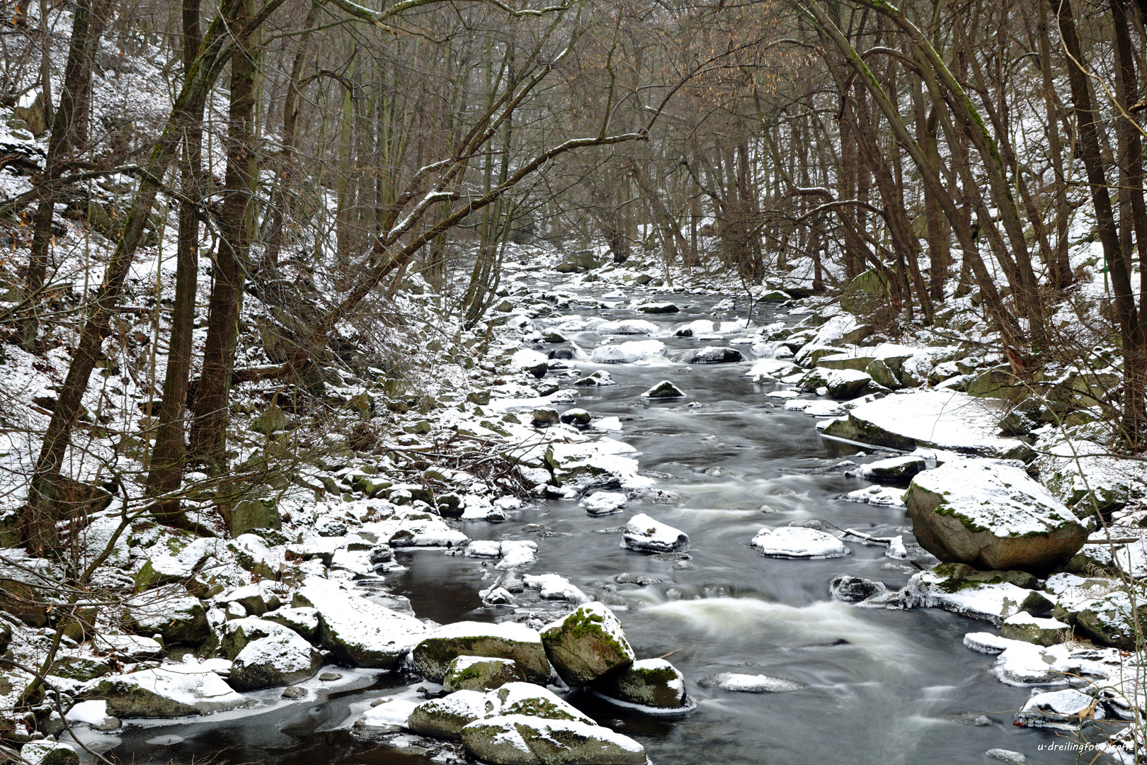 Die Bode im Winter (1)