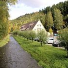 Die Bode in Trautenstein-Harz