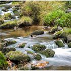 Die Bode/Harz