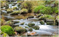 Die Bode/Harz