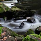 Die Bode/Harz