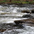 Die Bode...schön und wild...