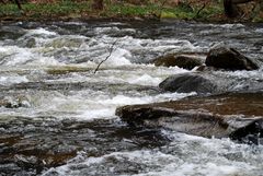 Die Bode...schön und wild...