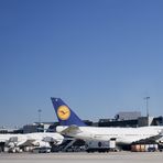 Die Boeing 747 Flughafen Frankfurt am Main