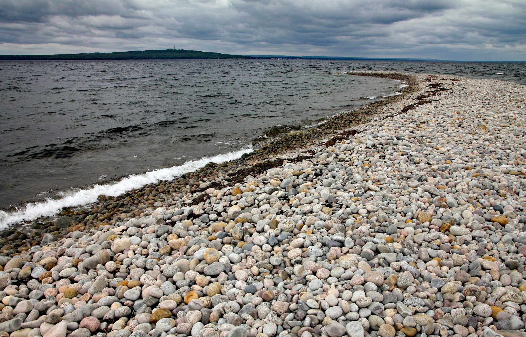 Die Bohne der Ostsee