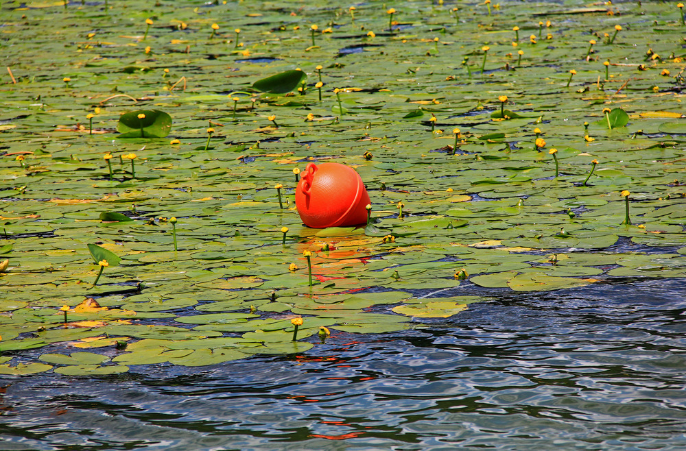 Die Boje