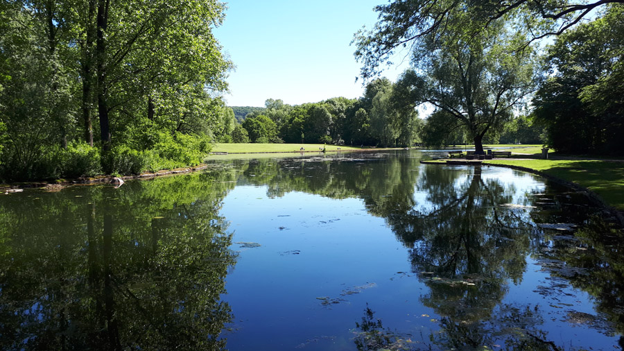 Die Bonner Rheinaue