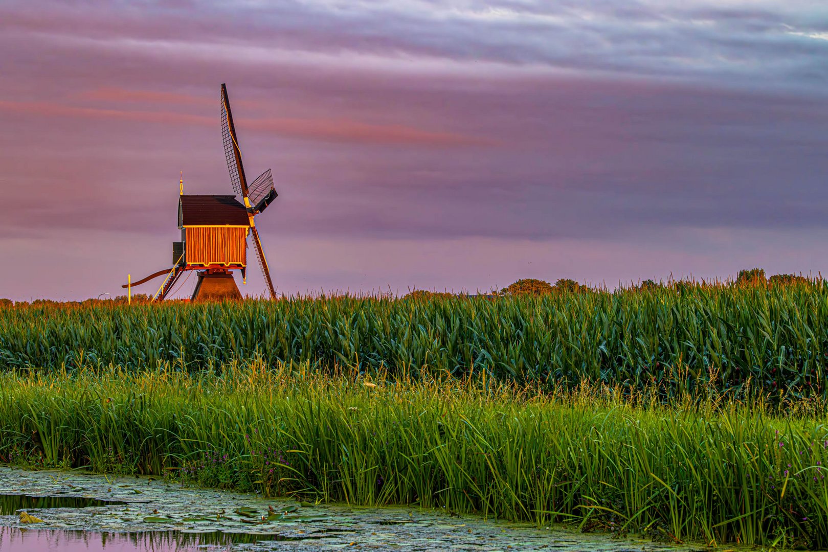 Die Bonrepas-Mühle bei Sonnenuntergang / Bonrepas windmill at dusk