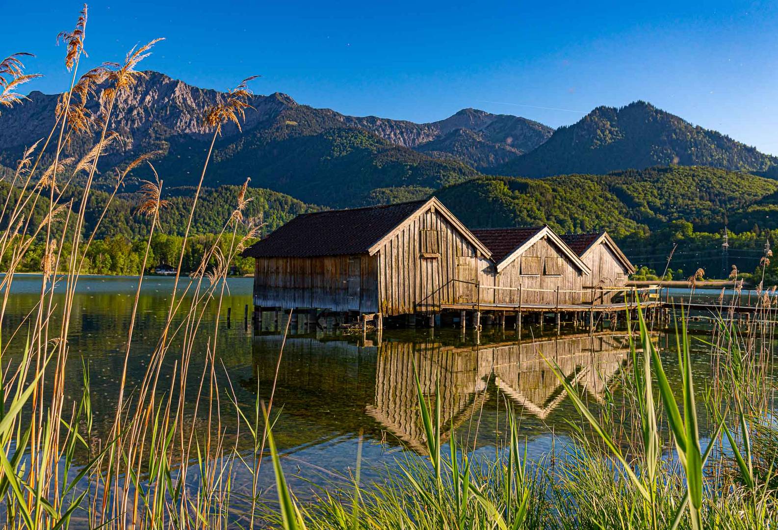 die Bootshütten am Kochelsee