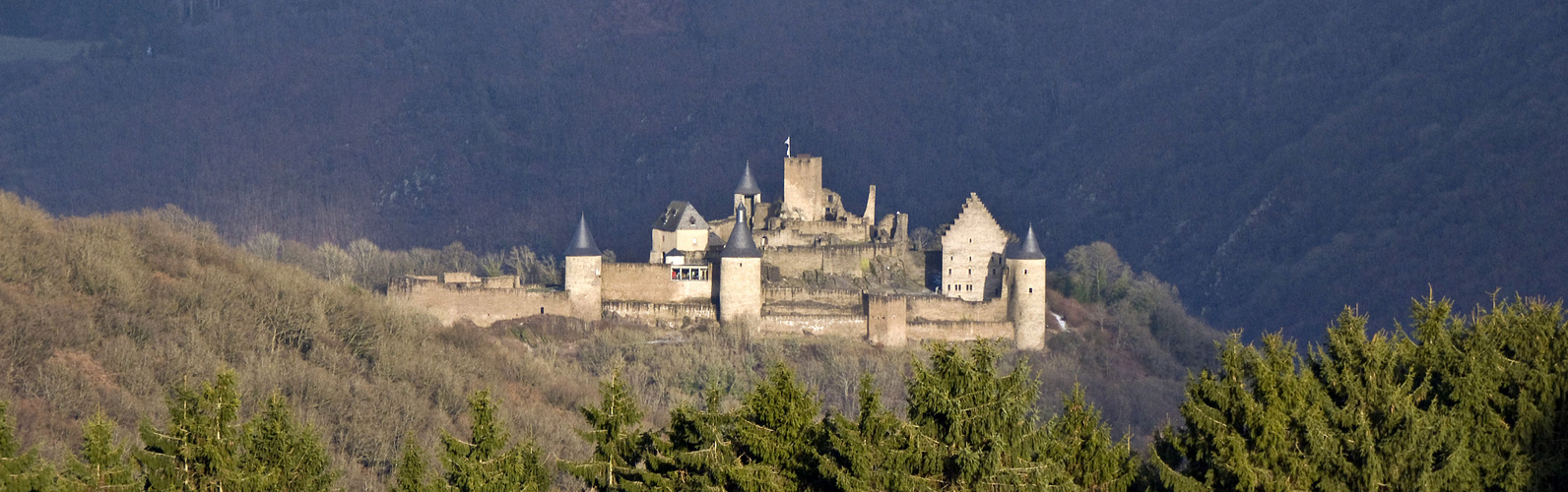 die Bourscheider Burg