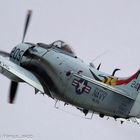 Die brachiale Douglas Skyraider bei den Airclassics Gelnhausen 2011