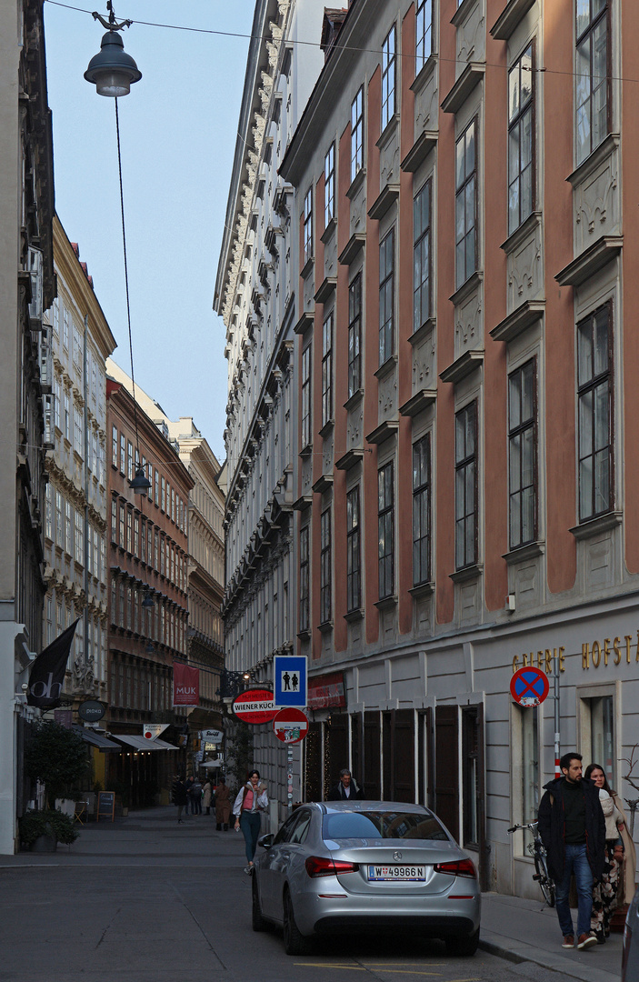 Die Bräunerstraße