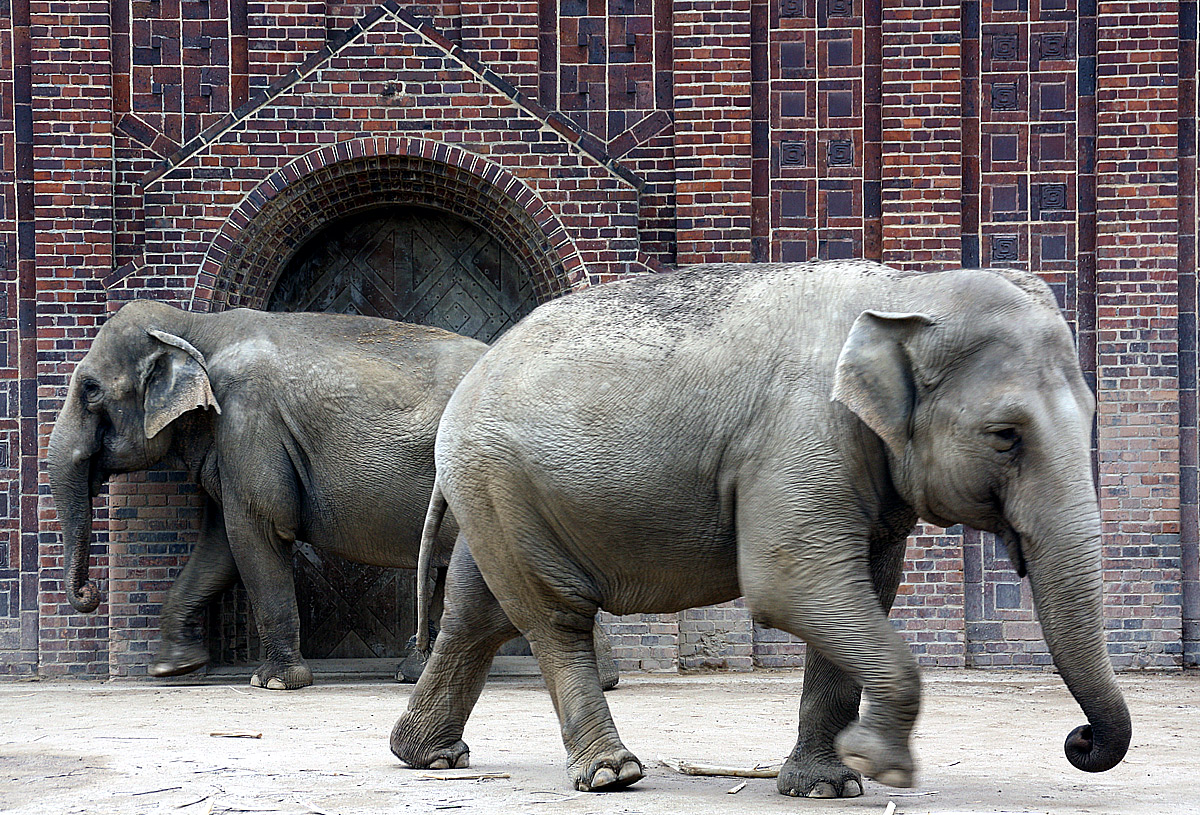 die brauchen Platz