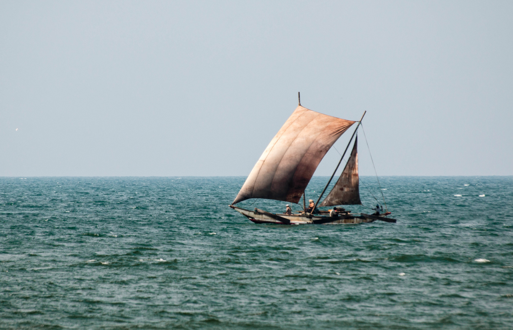 die braunen Oruwas vor Sri Lanka