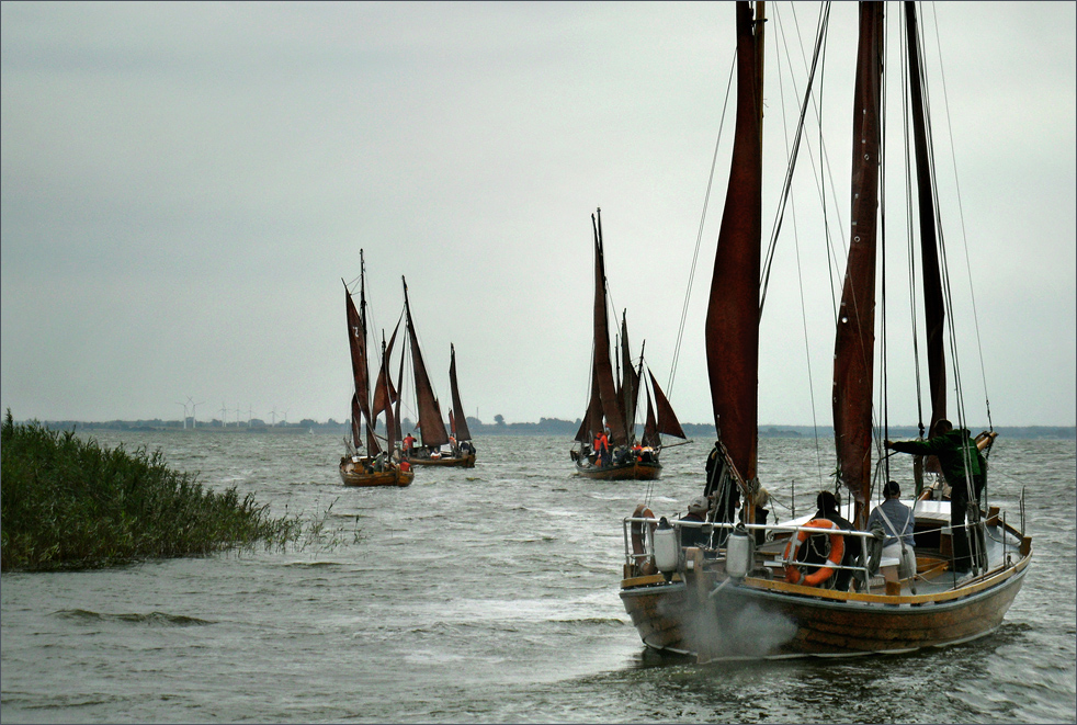 Die "braunen Segel" gibt es in vielen Farben - 18. Fischerregatta