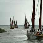 Die "braunen Segel" gibt es in vielen Farben - 18. Fischerregatta