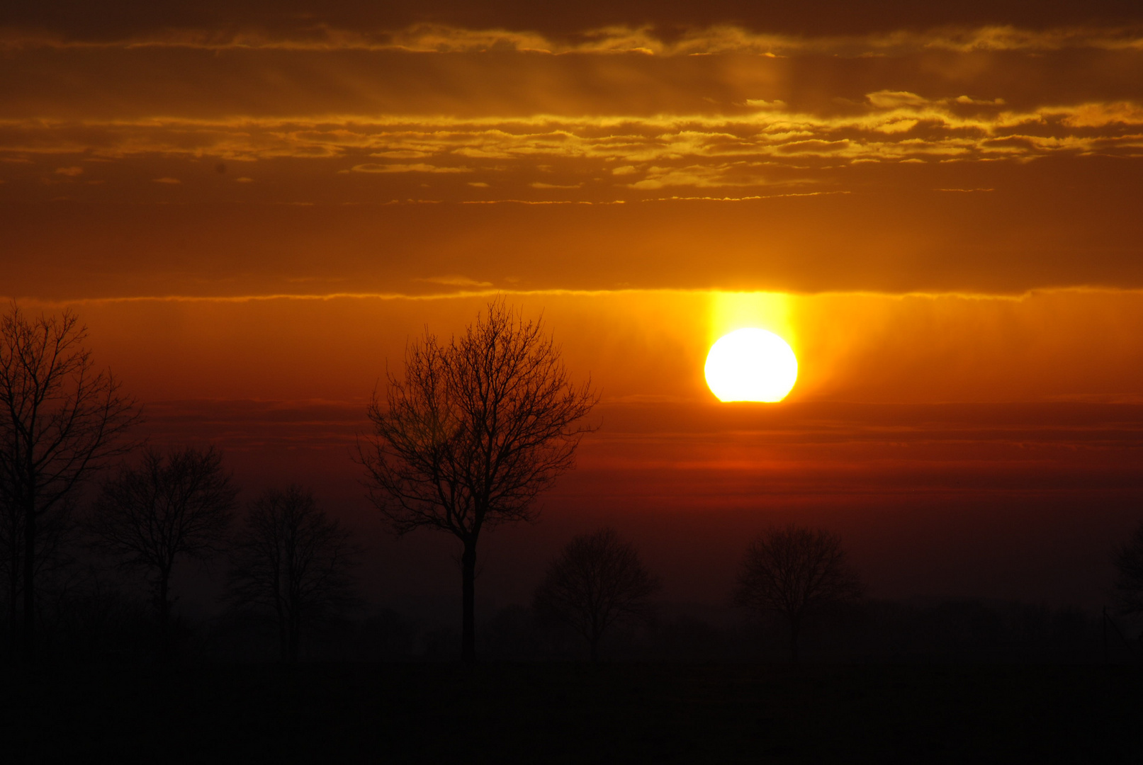 Die brennende Sonne im Februar