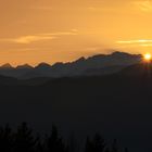 Die Brenta im Abendlicht