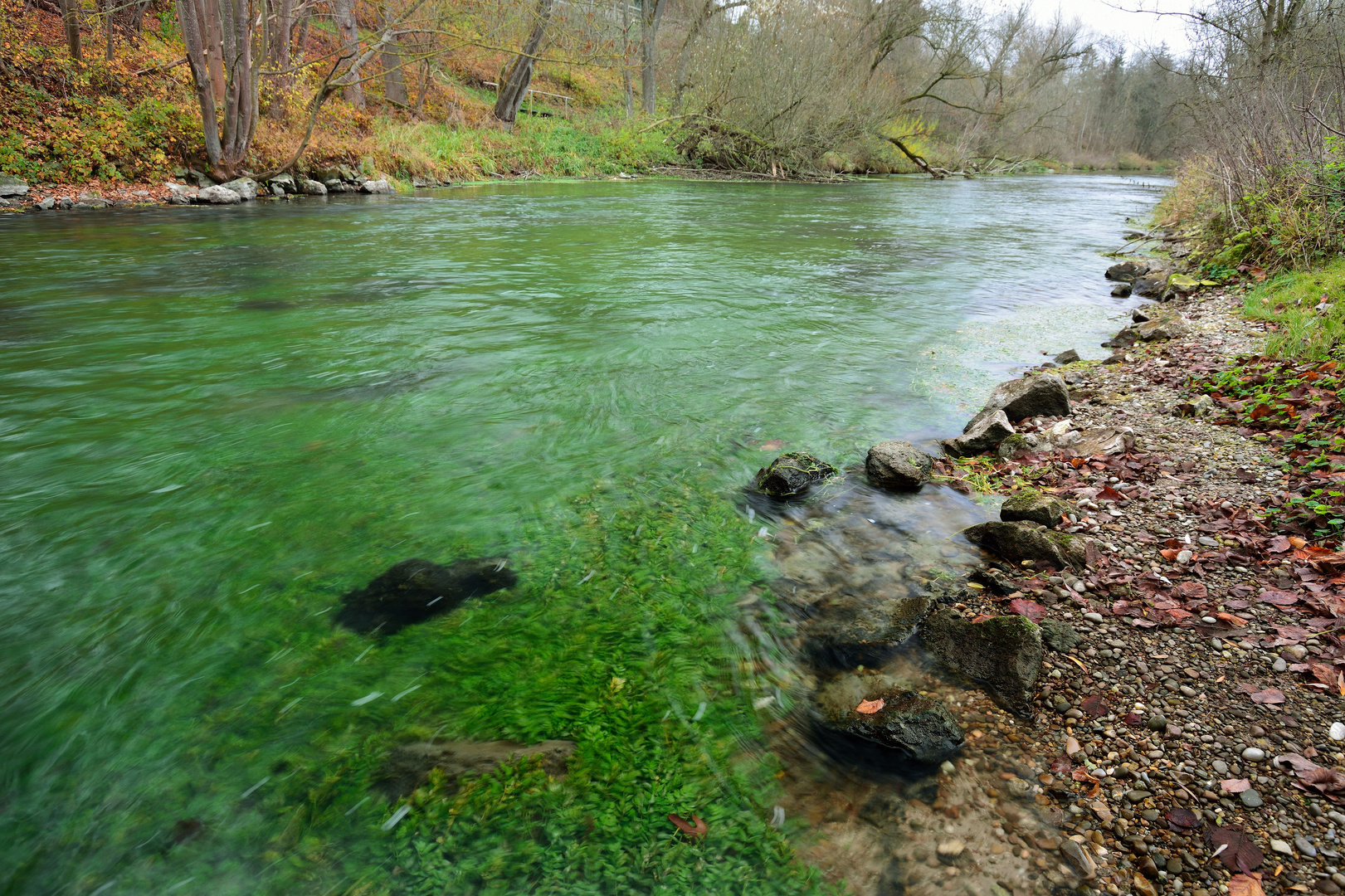 Die Brenz kurz vor der Mündung in die Donau