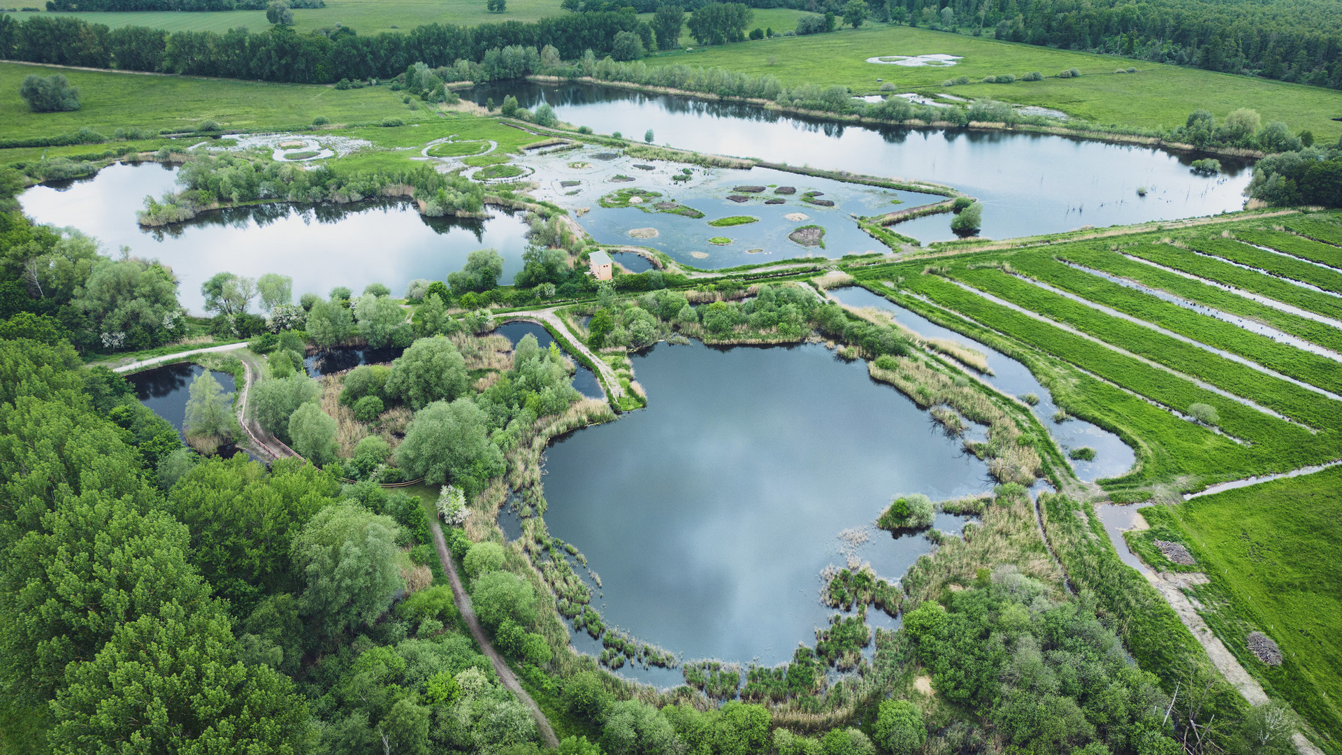 Die Brietzer Teiche bei Salzwedel