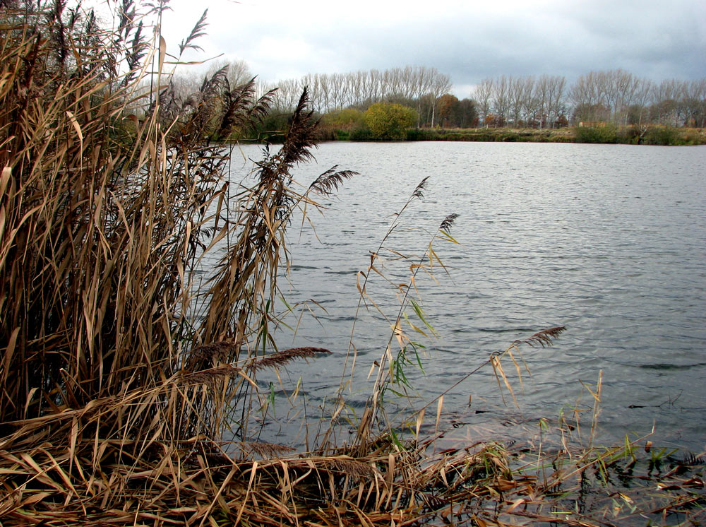 Die Brietzer Teiche bei Salzwedel Foto & Bild landschaft, bach, fluss