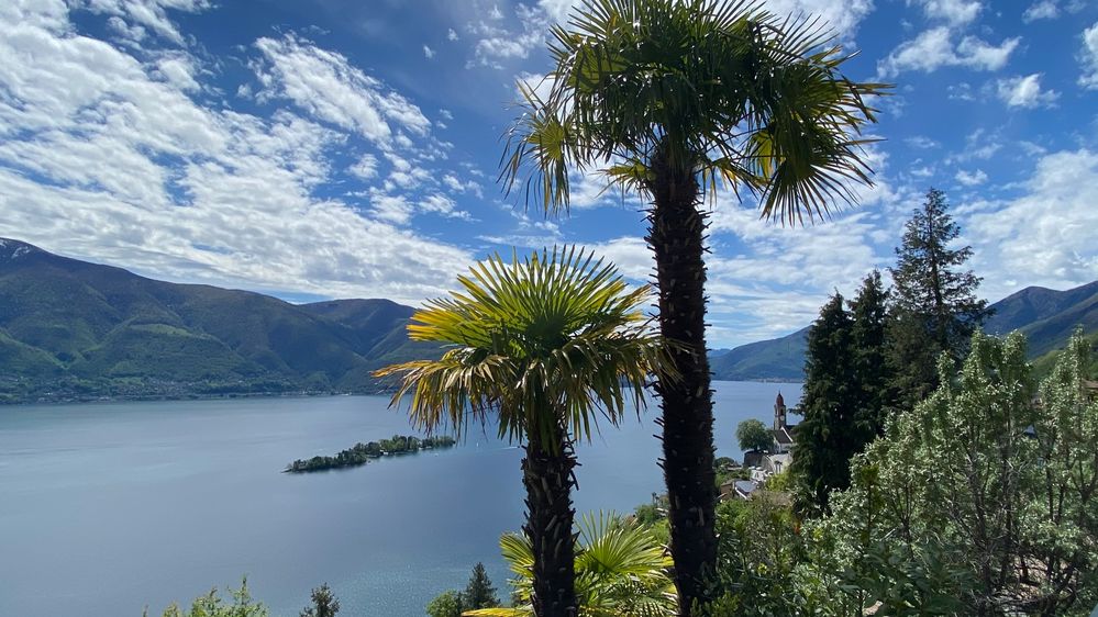 Die Brissago Inseln im Lago Maggiore