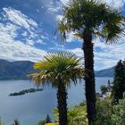 Die Brissago Inseln im Lago Maggiore