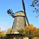 Die Britzer Mühle im Herbst.....