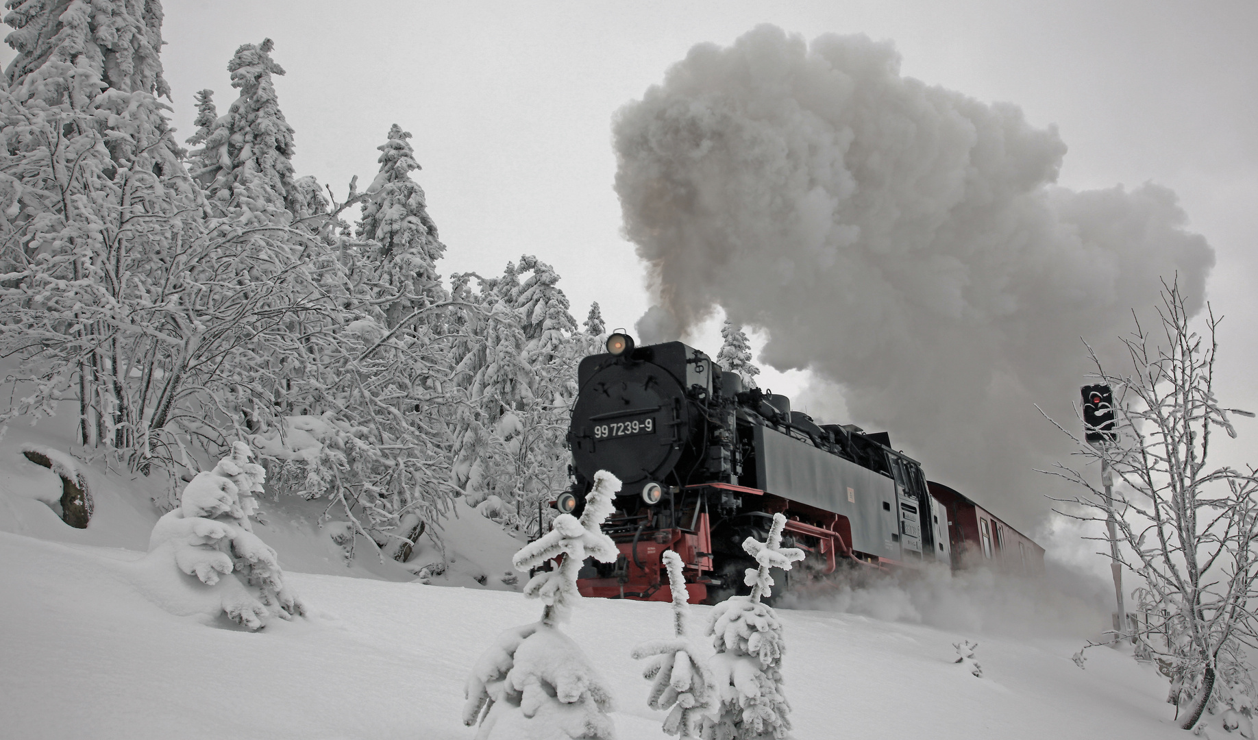 Die Brockenbahn (2)