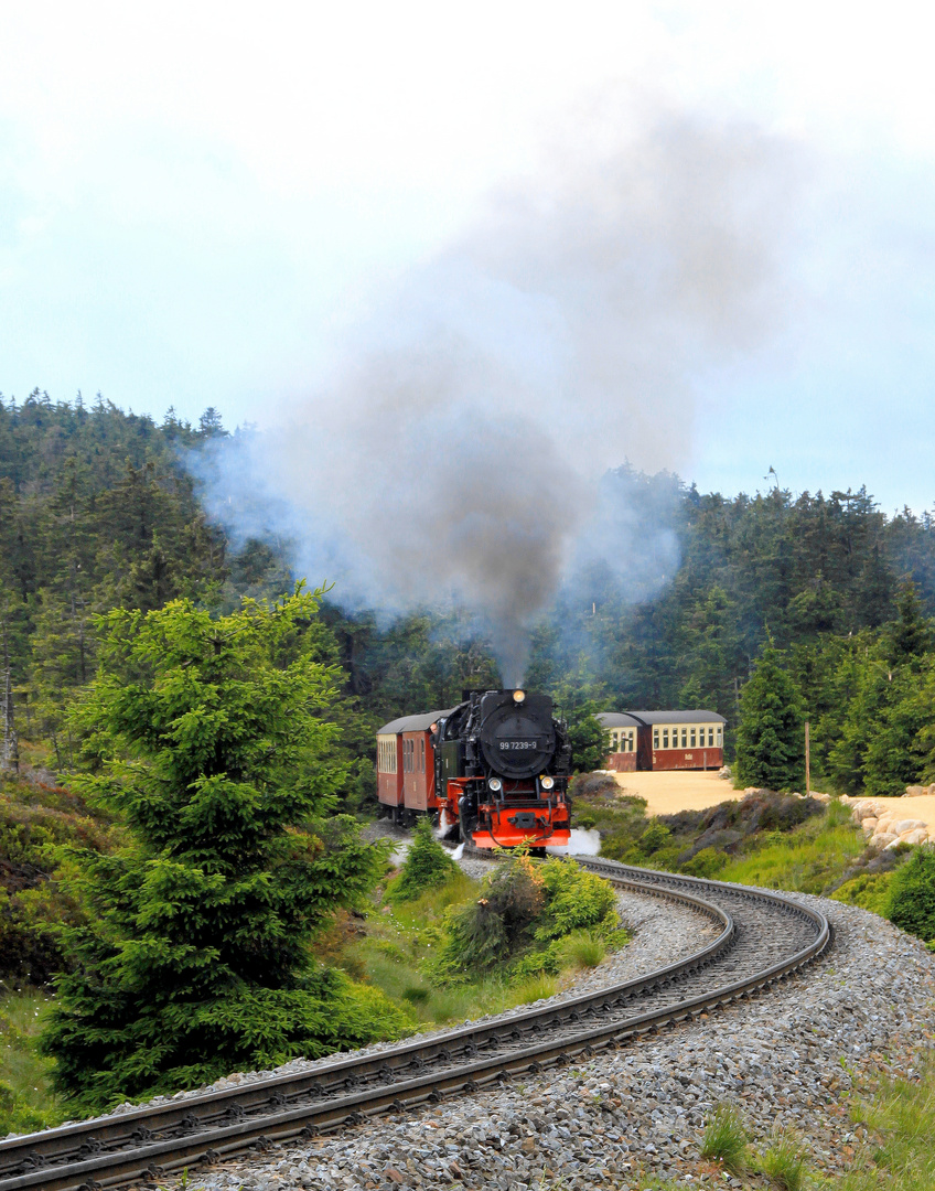 Die "Brockenbahn"...