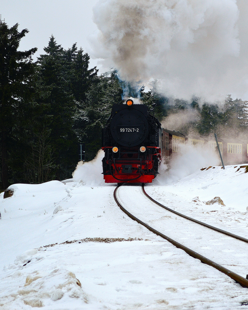 Die Brockenbahn auf dem Weg ins Thal